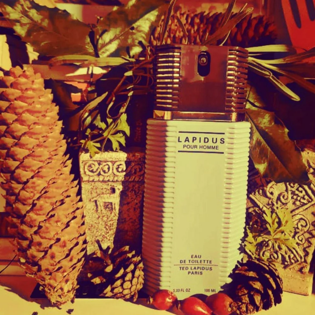 TED LAPIDUS WILD ATTRACTION (M) EDT 100ML