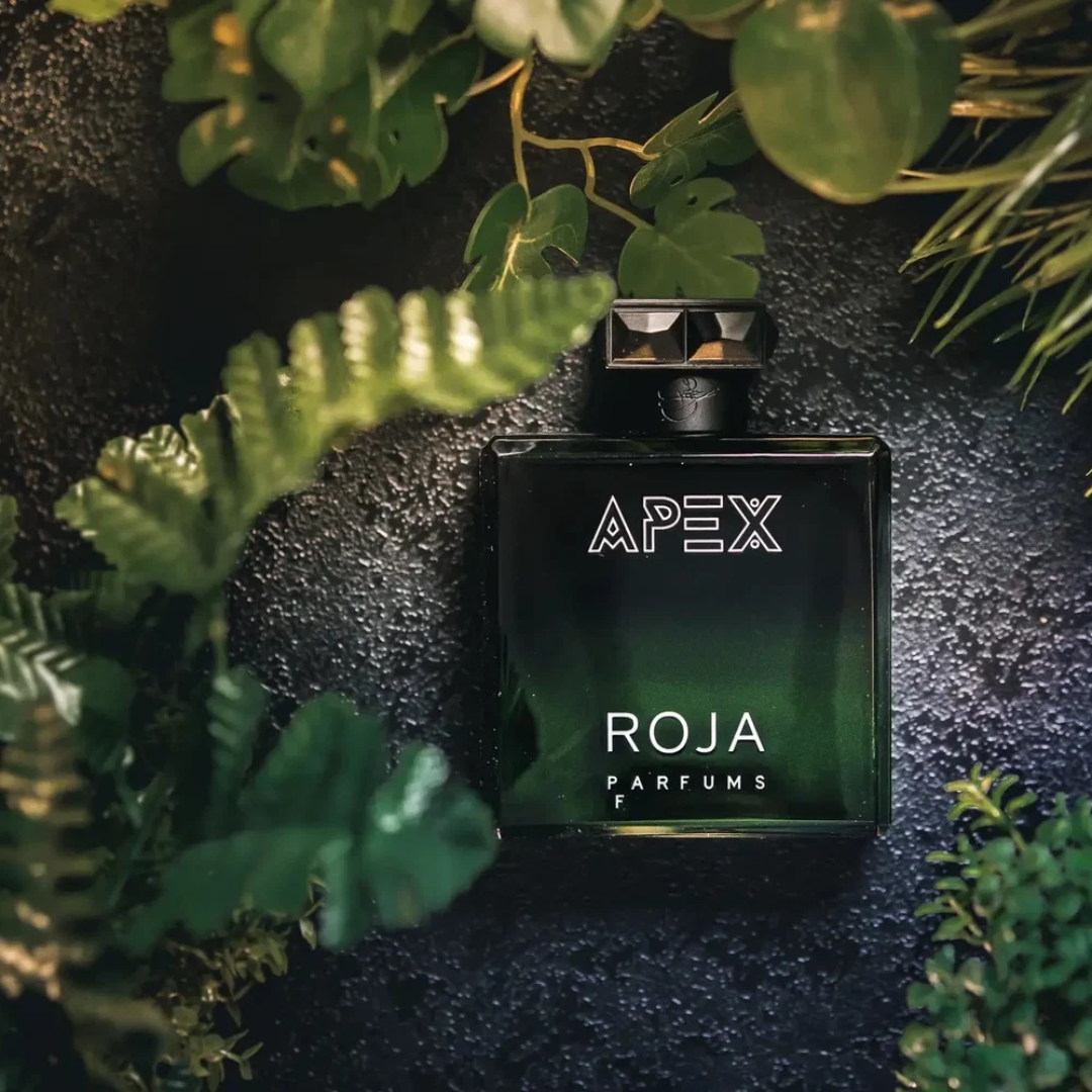 ROJA PARFUMS APEX (M) EDP 100ML