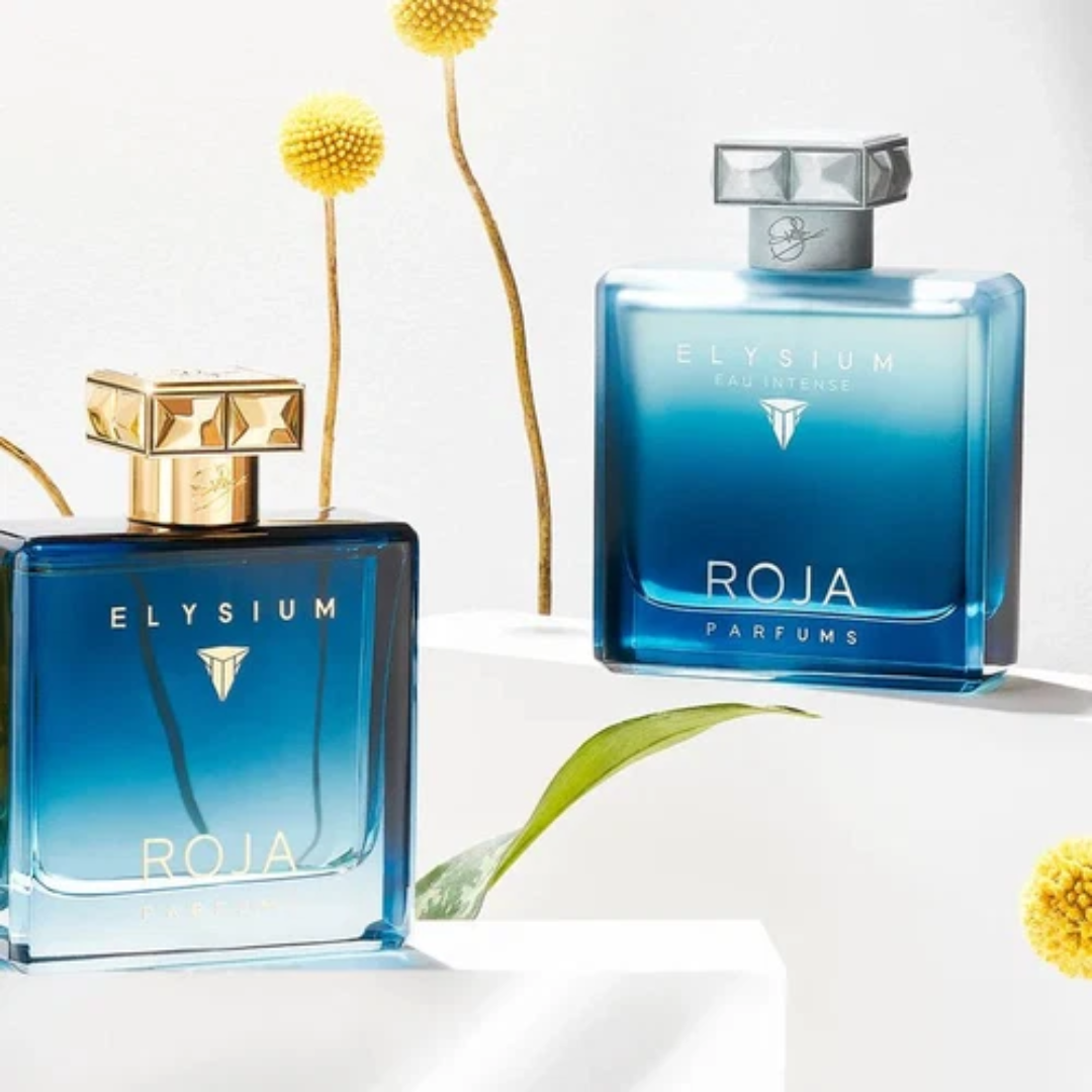 ROJA PARFUMS ELYSIUM POUR HOMME EDP 100ML
