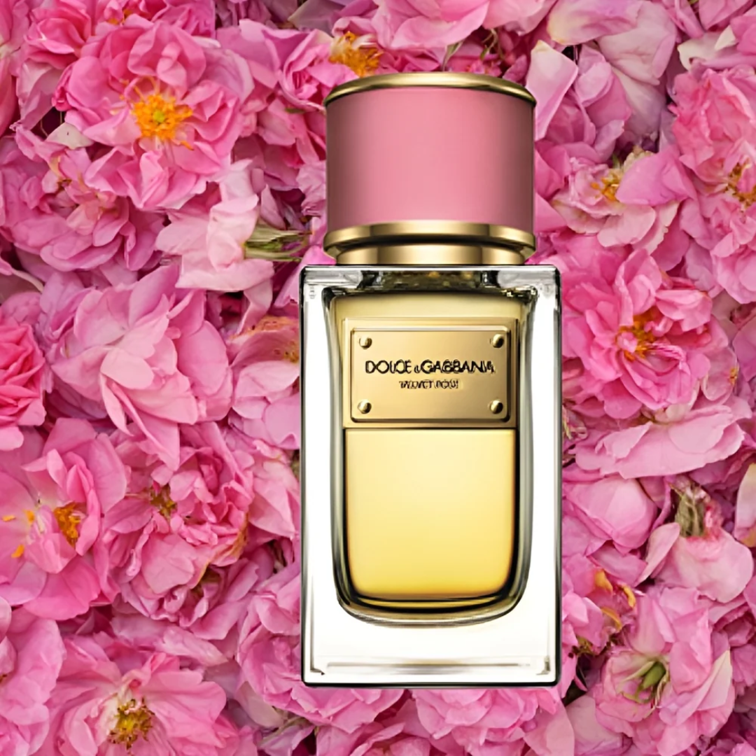 DOLCE & GABBANA VELVET ROSE (W) EDP 100ML