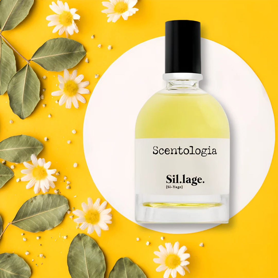 SCENTOLOGIA SIL.LAGE (U) EDP 100ML