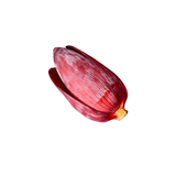Banana Blossom 