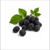 Blackberry