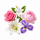 Floral