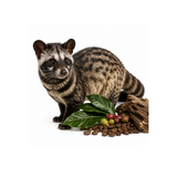 Civet