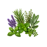 Herbal Notes
