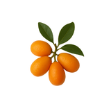 Kumquat