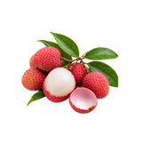 Litchi