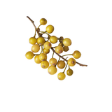 Litsea Cubeba