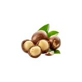 Macadamia