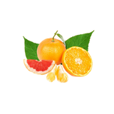 Mandarin Orange