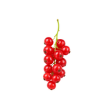 Red Currant