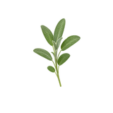 Sage