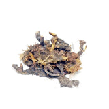  Cypriol Oil 