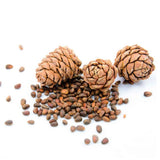 cedarwood