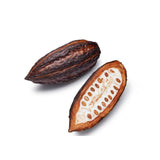 cacao pod