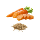 carrot seeds