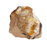 ambergris