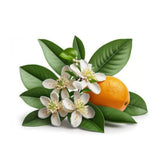 orange blossom