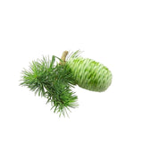 virginia cedar