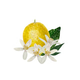  Lemon flowers
