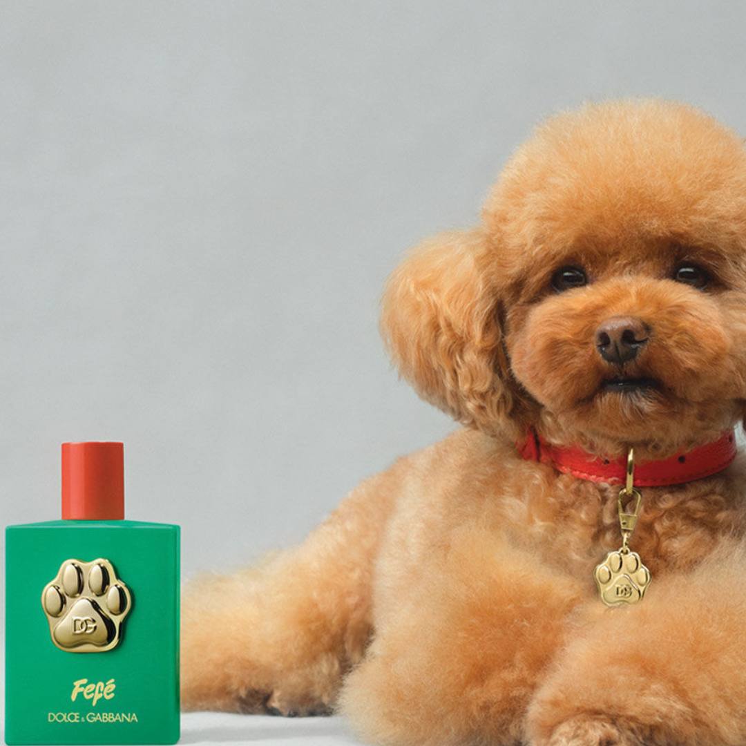 DG FEFE' 100ML