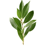 laurels