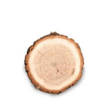 cashmere wood