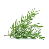 Rosemary