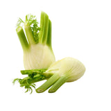 Fennel