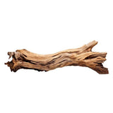  Dry Wood