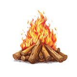 Burning Wood