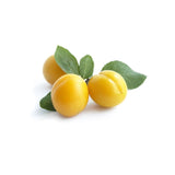 Mirabelle Plum 