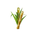 Sugarcane 