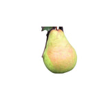 Crisp Pear