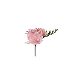 Airy Pink Freesia