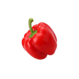 Paprika