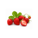 Wild Strawberry
