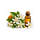 Orange Blossom Absolute