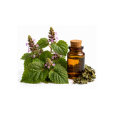 Patchouli Essence 