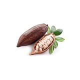 Cocoa