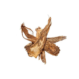 Angelica Root Essence