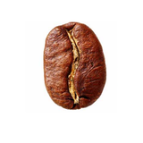 Arabica Coffee