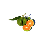 Green Mandarin Essence