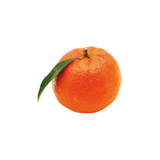 Mandarin