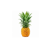 Victoria Pineapple