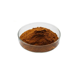 Cinnamon Bark Essence