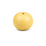 Nashi Pear