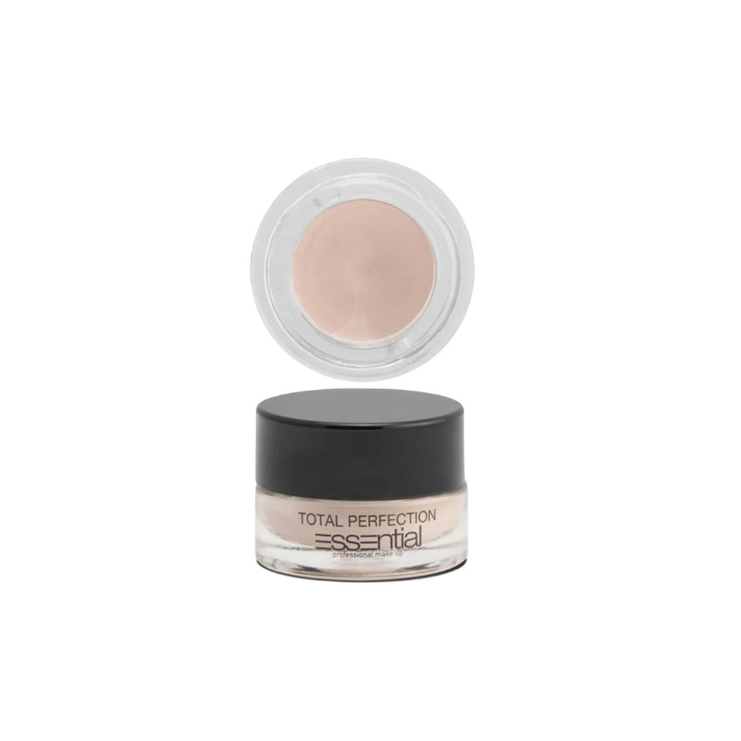 TP10 E. MAKEUP - TOTAL PERFECTION