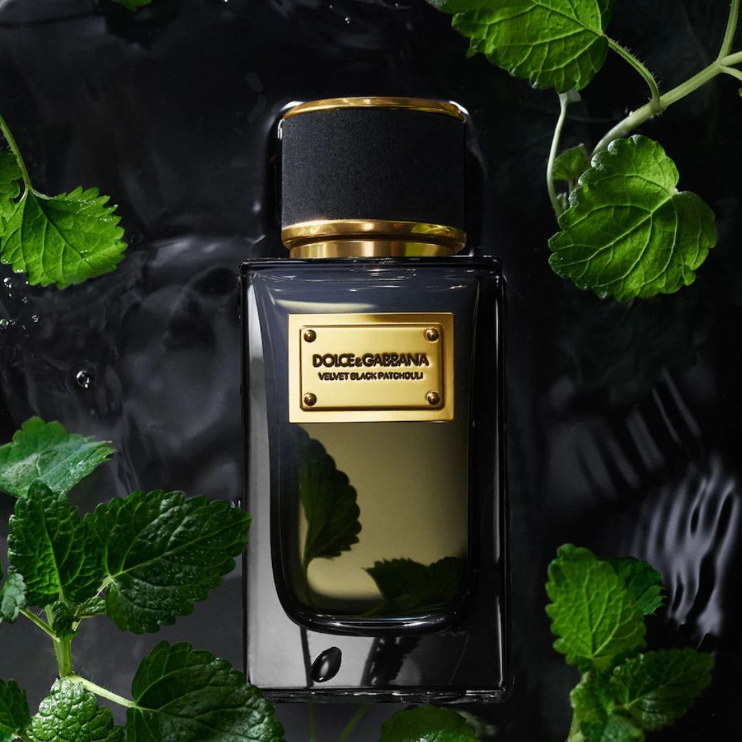 Dolce & Gabbana Velvet Black Patchouli EDP 100ML